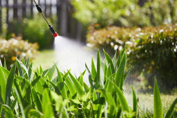 24/7 Emergency Cockroach Control experts in Windsor, NC